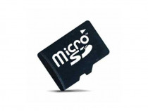 SD - micro - 1